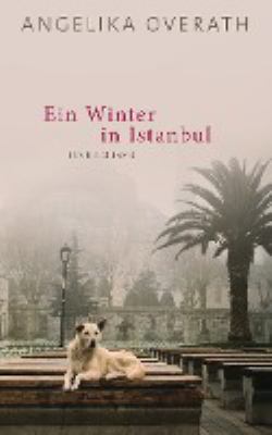 Titelbild: Ein Winter in Istanbul : Roman.