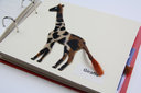 Vergrößerungsansicht: einzelne Buchseite, Motiv Giraffe