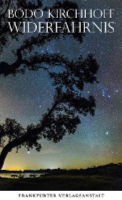 Buchcover von Widerfahrnis : eine Novelle von Bodo Kirchhoff