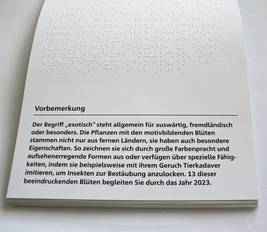 Zwischenblatt mit Informationen in Braillekurzschrift und Großdruck