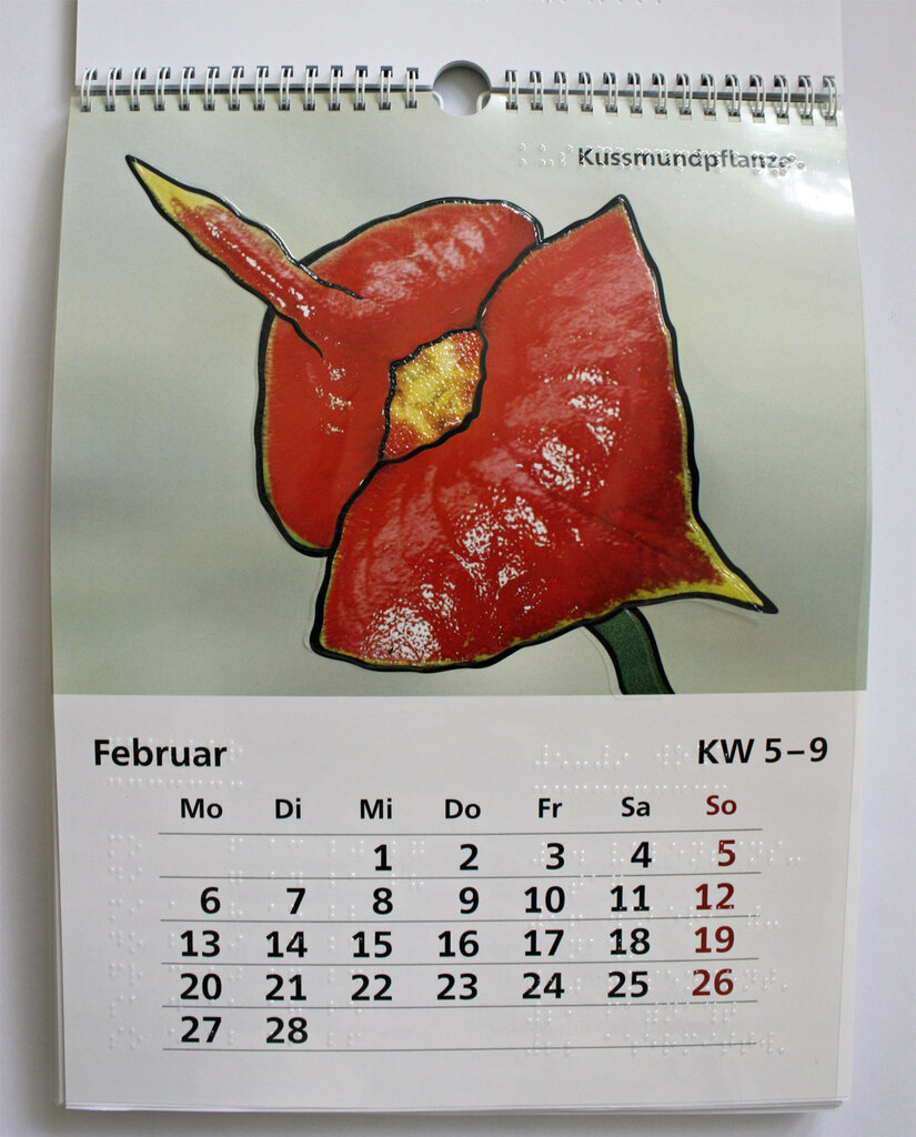 Februar-Kalendarium und Blüte der Kussmundpflanze