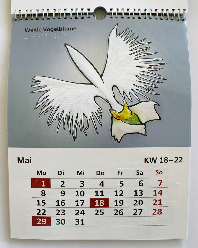 Mai-Kalendarium und Blüte der Weißen Vogelblume