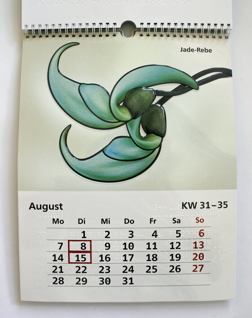August-Kalendarium und Blüte der Jade-Rebe