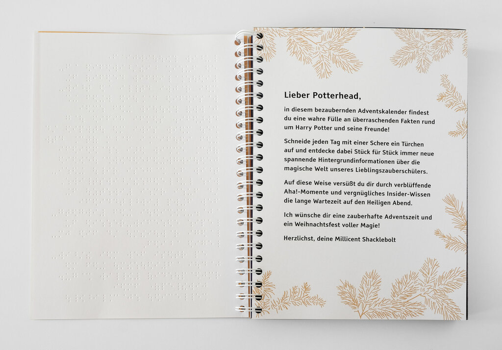 Aufgeschlagenes Ringbuch mit Braille-Schrift und Großdruck, umrahmt von Tannenzweigen