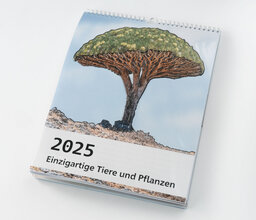 Deckblatt Reliefwandkalender 2025 Einzigartige Pflanzen und Tiere