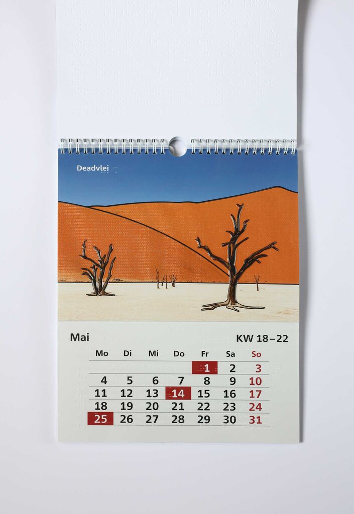 Taktile Darstellung der Deadvlei-Wüste in Namibia, einer weiten flachen Ebene mit weißem Tonboden, die von orangefarbenen Dünen umgeben ist.