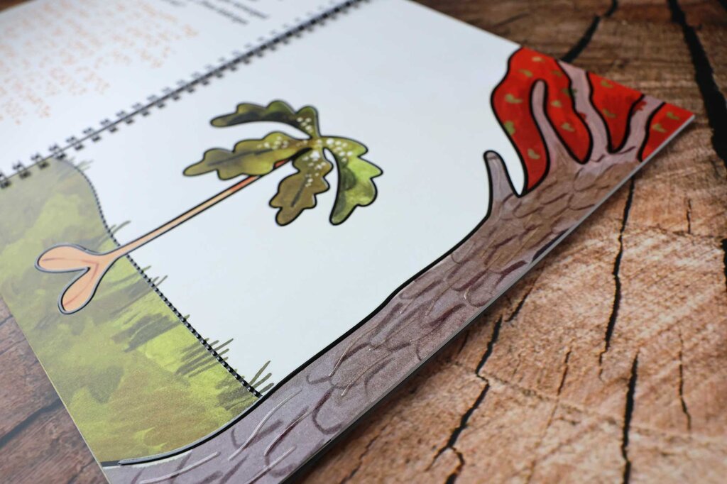 Aufgeklapptes Ringbuch mit taktilen Illustrationen vom Baumsetzling und einem großen, dicken Stamm eines Baumes mit roten Blättern