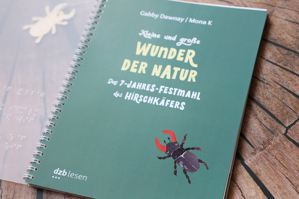 Aufgeklapptes Ringbuch mit farbigem Buchcover