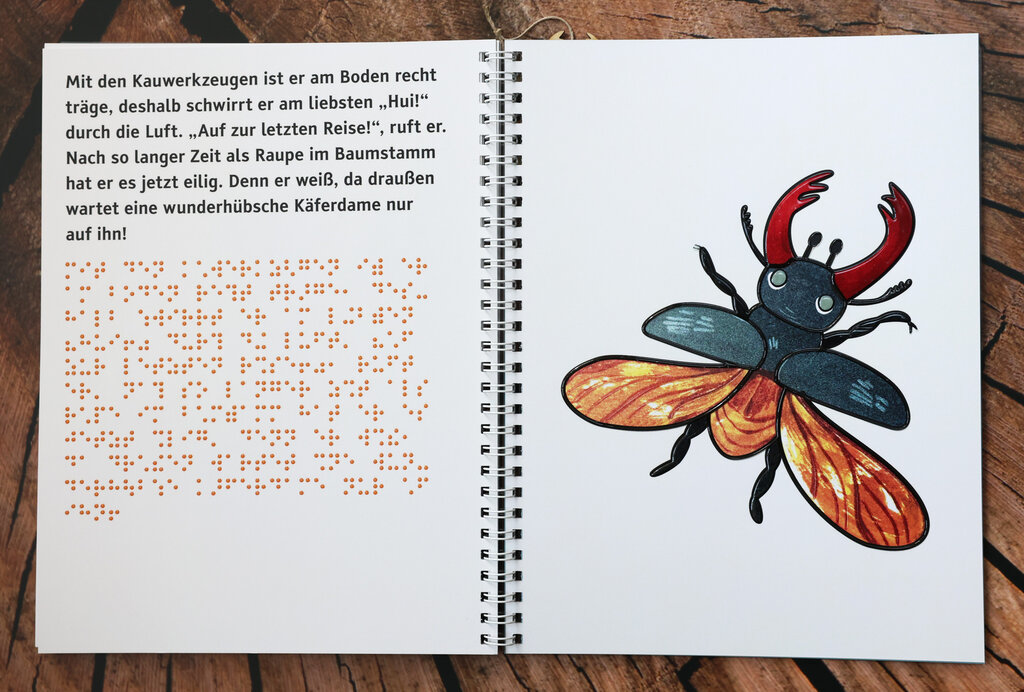 Ein schwarzer Hirschkäfer mit rotem Geweih mit ausgebreiteten Flügeln. Er scheint zu fliegen.