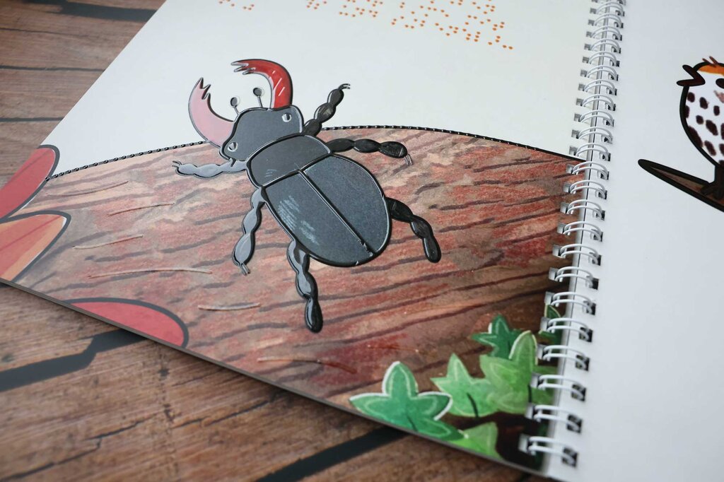 Ein Hirschkäfer mit schwarz-braunem Körper und rotem Geweih, der über einen Baumstumpf krabbelt.