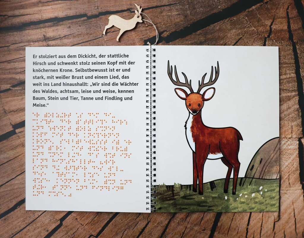 Aufgeklapptes Ringbuch mit Text in Großdruck und Braille-Schrift sowie taktilen Illustrationen 