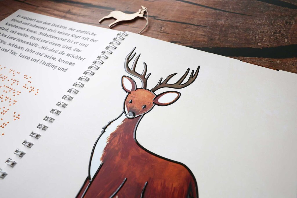 Aufgeklapptes Ringbuch mit Text in Großdruck und Braille-Schrift sowie taktilen Illustrationen 