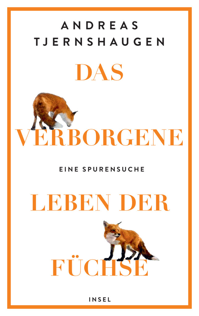 Tjernshaugen: Das verborgene Leben der Füchse : eine Spurensuche.