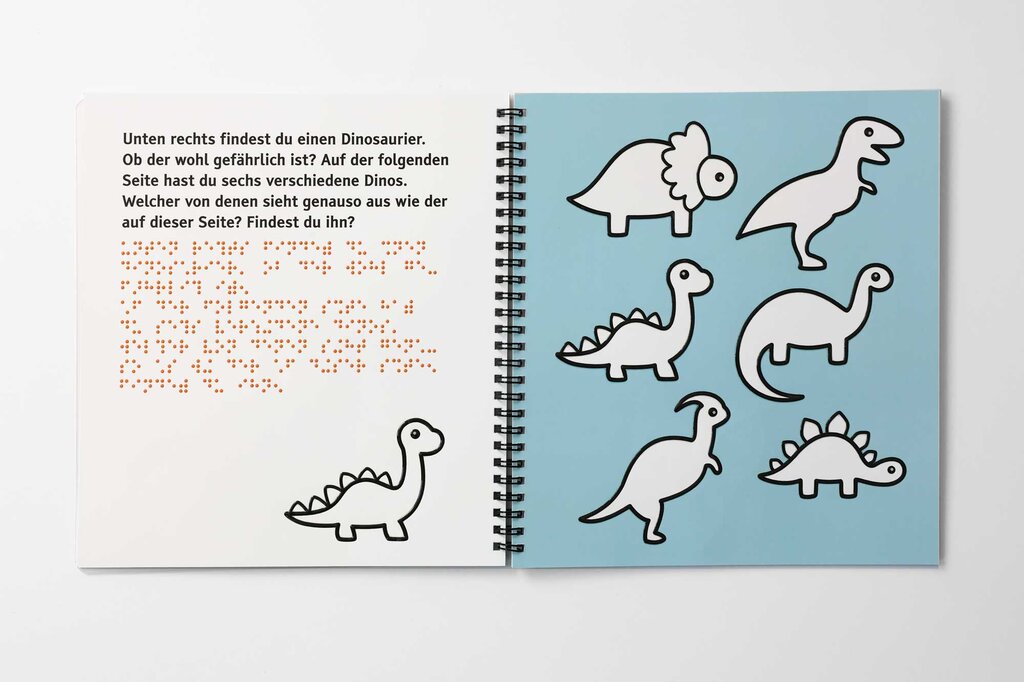 Buchcover des Heftes »Mein erster Rätselspaß - Zwilling gesucht«. Unter dem Buchtitel in großer Schrift und Brailleschrift sind drei Motive abgebildet: Ein Dinosaurier mit langem Hals, ein Marienkäfer mit sechs Punkten sowie ein Schneemann mit Hut.