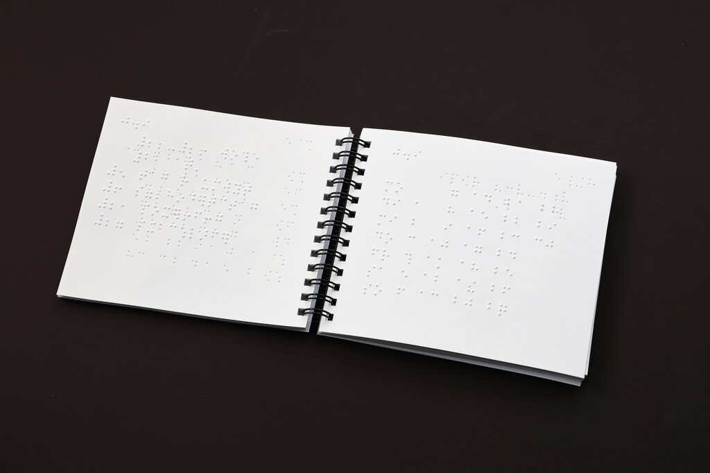 Braille-Taschenkalender MAXI 2027 : Kurzschriftausgabe. 1 Bd. 