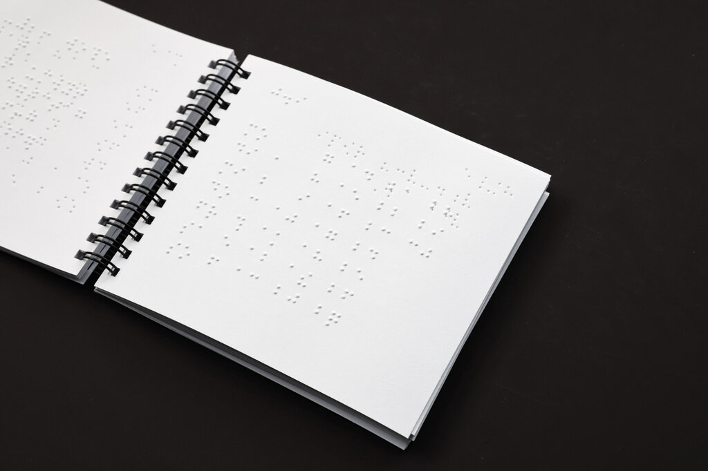 Braille-Taschenkalender MAXI 2027 : Kurzschriftausgabe. 1 Bd. 