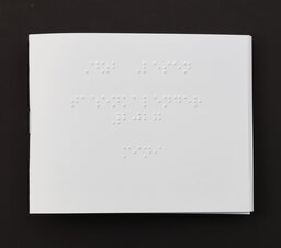 Braille-Taschenkalender MINI 2027 : Vollschriftausgabe. 1 H. 