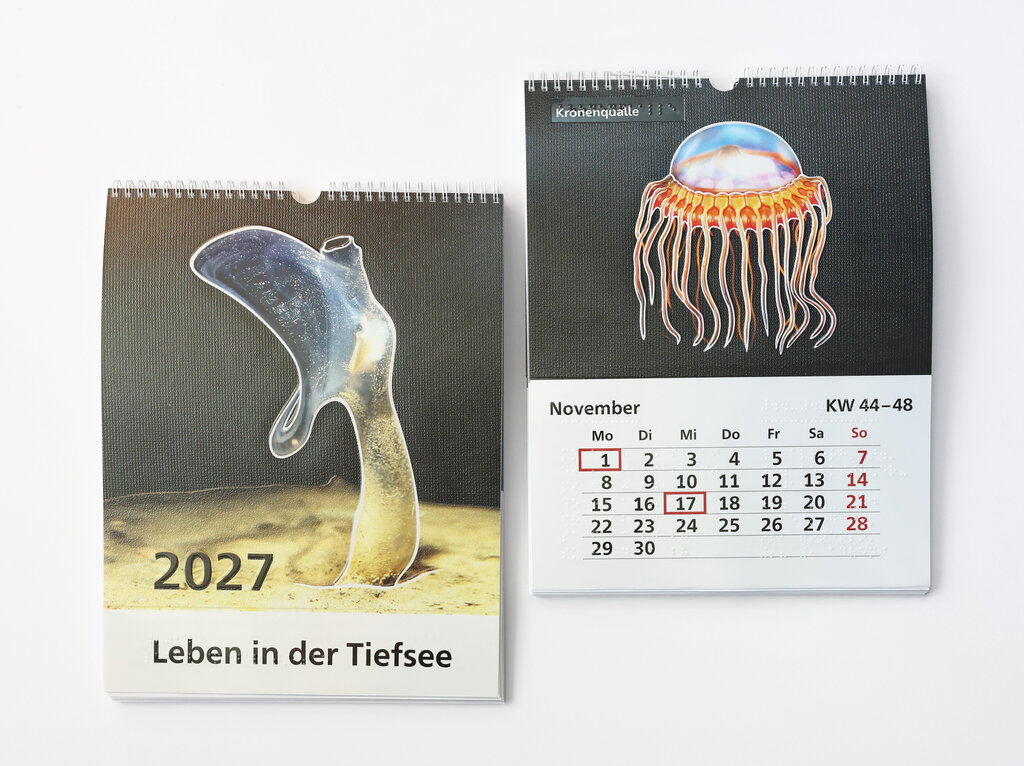 Relief-Wandkalender 2027 «Leben in der Tiefsee«. 