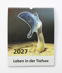 Relief-Wandkalender 2027 «Leben in der Tiefsee«. 