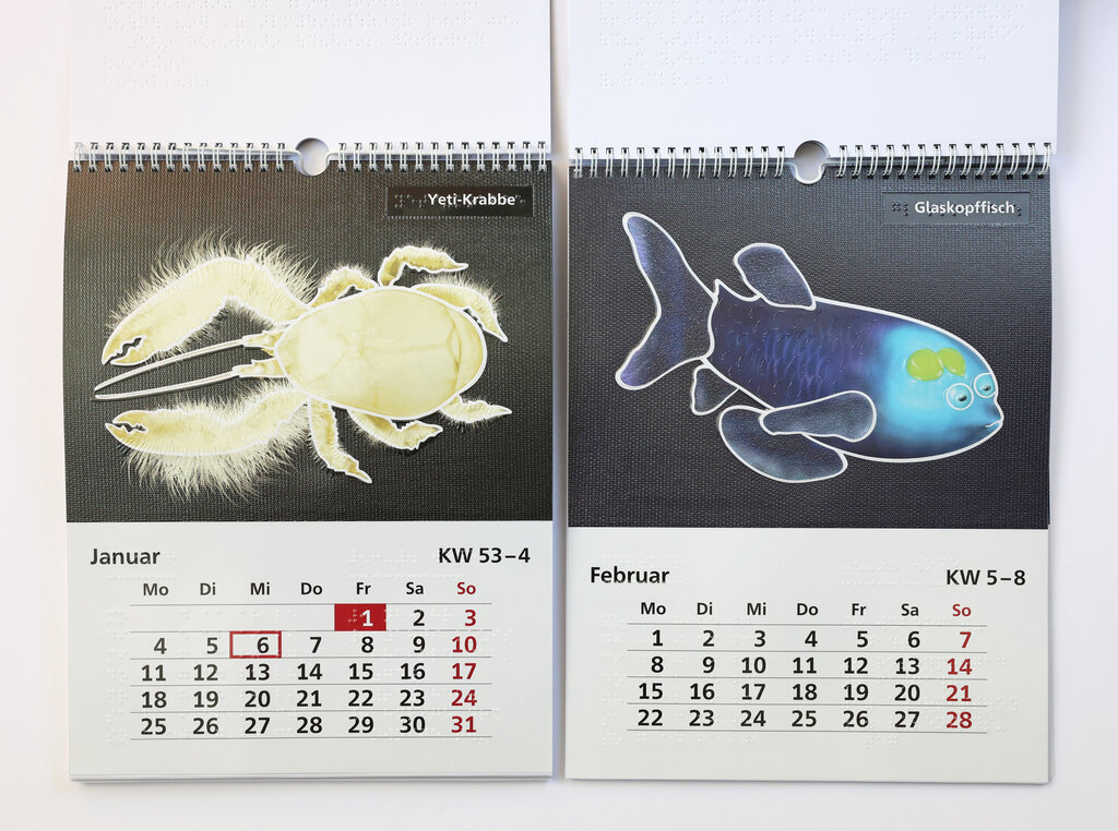 Relief-Wandkalender 2027 «Leben in der Tiefsee«. 