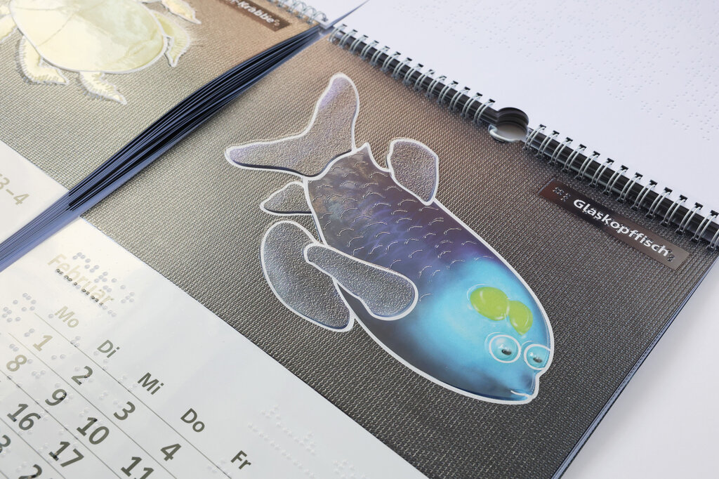 Relief-Wandkalender 2027 «Leben in der Tiefsee«. 