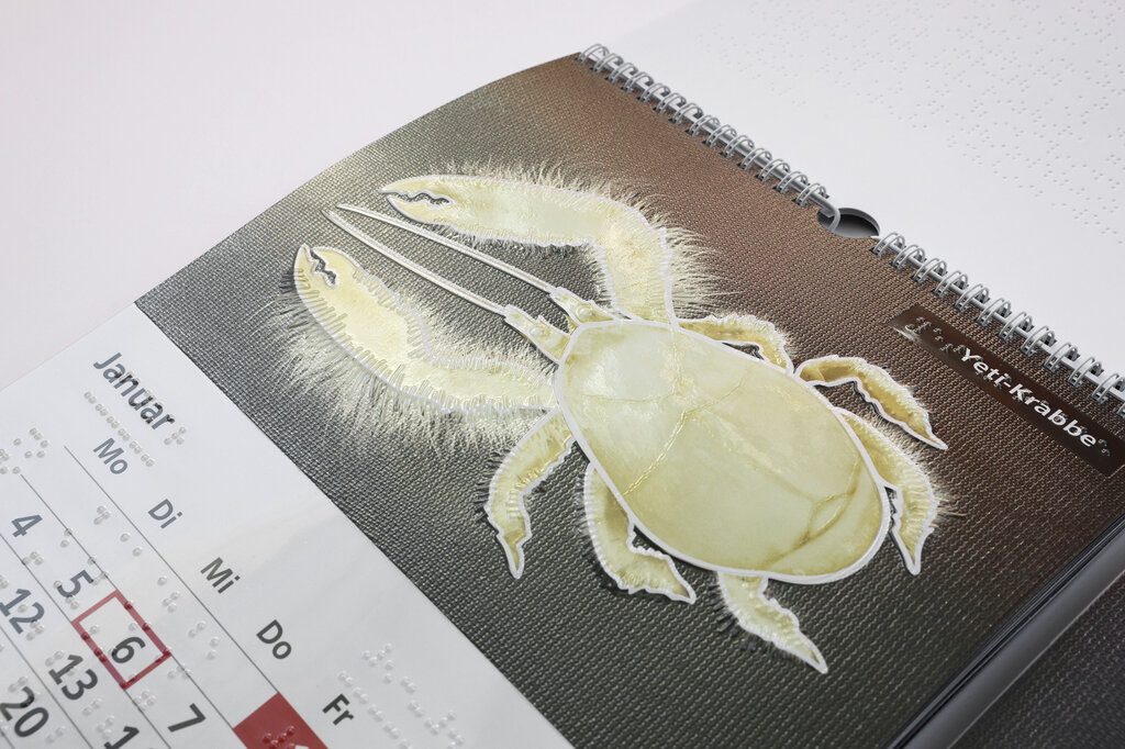 Relief-Wandkalender 2027 «Leben in der Tiefsee«. 