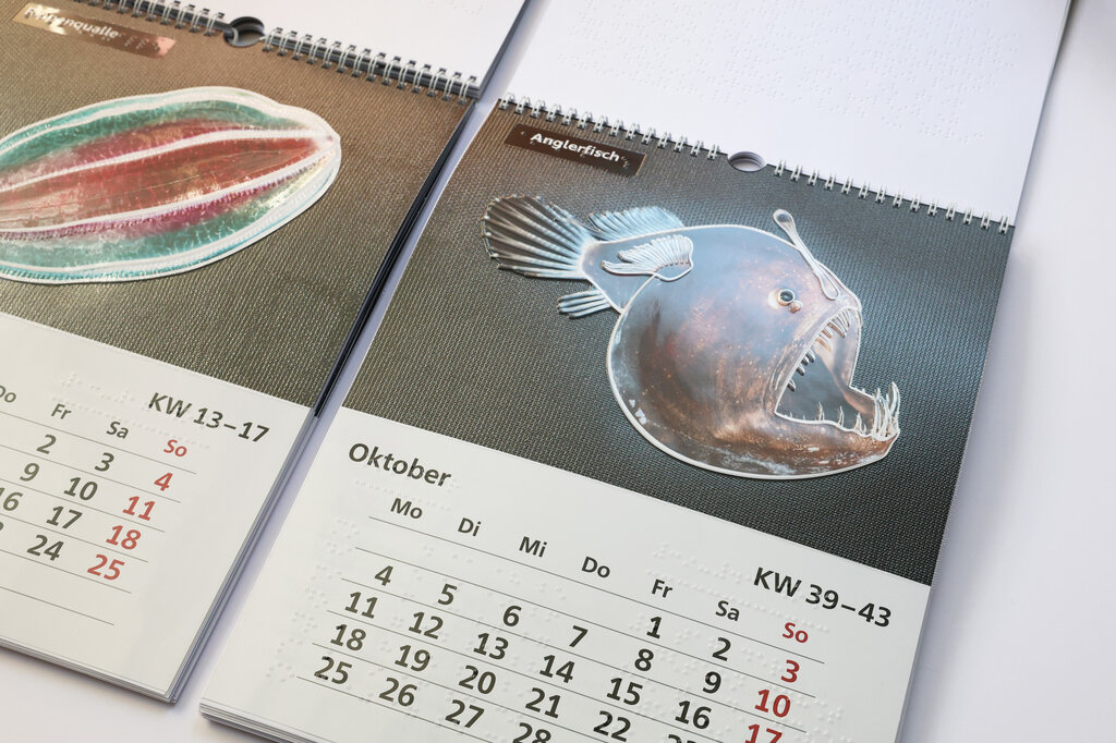 Relief-Wandkalender 2027 «Leben in der Tiefsee«. 