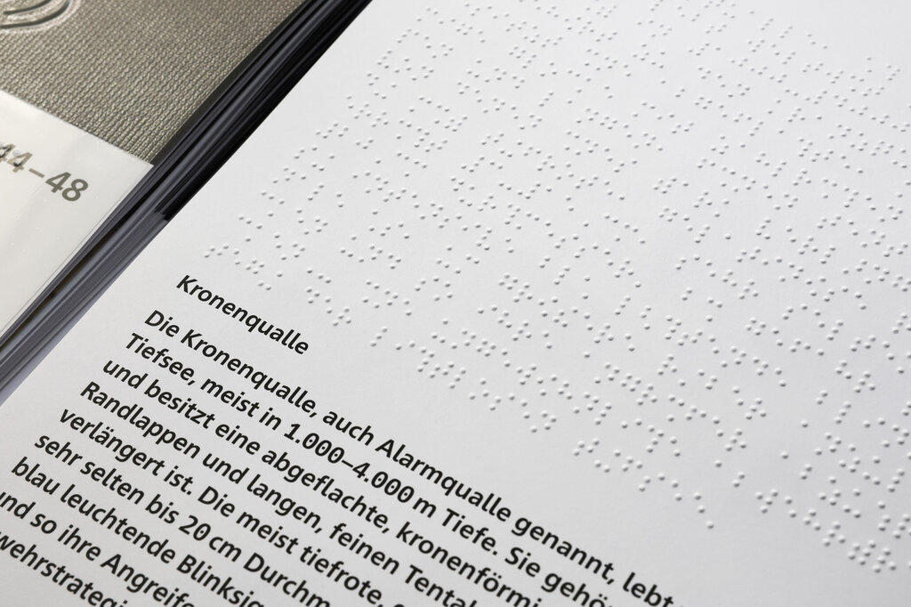Relief-Wandkalender 2027 «Leben in der Tiefsee«. 