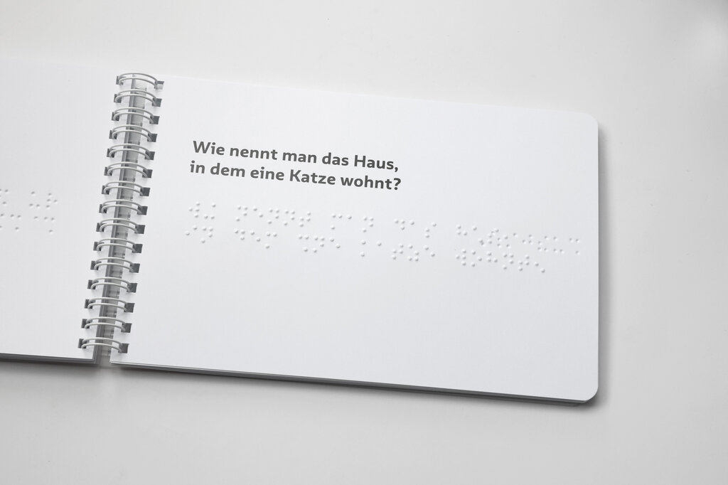 Geöffnete Buchseite mit Text in Großdruck und Brailleschift